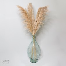 大蘆葦 原色 120cm