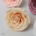 蘇醒玫瑰香皂花頭1入