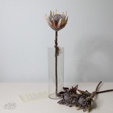 人造花 帝王花 棕