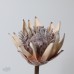 人造花 帝王花 棕