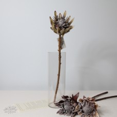 人造花 帝王花 綠