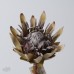人造花 帝王花 綠