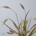 人造花 鼠尾草 白