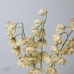 人造花-ASCA 人造甜碗豆束A-34495020 鵝黃