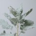 人造葉 銀葉菊