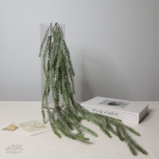 人造葉-ASCA A-42997-052B Reef Hanging Bo(綠)