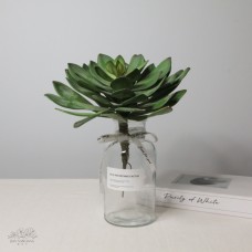 絕版品人造多肉/東美人/綠