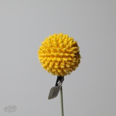 人造花-ASCA 人造金仗球A-34386010 黃