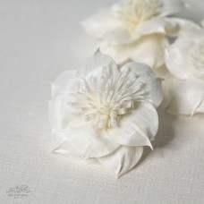 索拉鐵線蓮白色