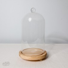 玻璃-中木拖罩 12X20CM