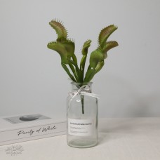 人造多肉-MAGIQ FG005340Dionaea MuscipulaGREEN