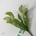人造多肉-MAGIQ FG005340Dionaea MuscipulaGREEN
