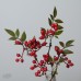 人造果 春日南天FJ001912-003 紅