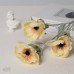 人造花 海葵花 黃色