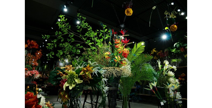 熱帶雨林植物櫥窗