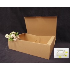 包裝-ECO Z-9紙盒 