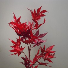 出清品人造葉-MAGIQ FW092002 Crimson Maple branch BURG