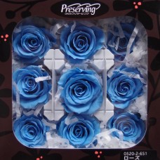 盒裝不凋花-大地農園 玫瑰(藍)