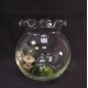 玻璃-花口魚缸8吋
