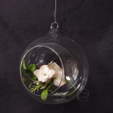 出清品玻璃-15cm玻璃吊球(窄口) 