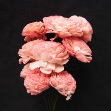 乾燥花-蓪草 太陽玫瑰-小(粉色)
