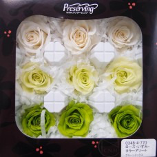 盒裝不凋花-大地農園 Rose Izumi 9輪(黃綠組合)