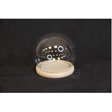 玻璃花器 YQ-12圓球罩+凹木底座