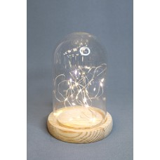 玻璃花器 花器 光明罩含燈 Ø9xH15