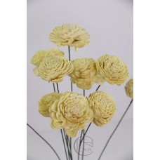 乾燥花 蓪草 太陽玫瑰 小 黃色