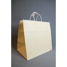 包裝- 紙袋 34-1 珍珠光CR 附底板