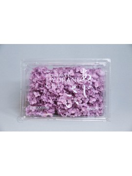 盒裝不凋花-日本大地農園 繡球(紫)