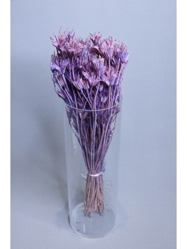 乾燥花-小百合 紫色