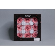 盒裝不凋花-中玫瑰 Rose Izumi 9輪 豆沙粉