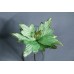 人造花-ASCA AX69107-051L Poinsettia pick(綠)