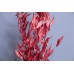 乾燥花-永生樺木葉 義大利 紅 小包