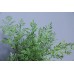 人造葉 A-43871-051A 觀葉植物