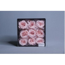 盒裝不凋花-大玫瑰 Rose Kanon 9輪 粉