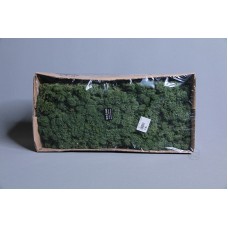 材料-Moss 馴鹿水草(深綠-154)