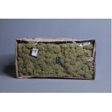材料-Moss 馴鹿水草(稻草綠-164)