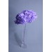 不凋花-帶桿繡球 深紫