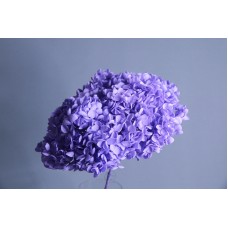 不凋花-帶桿繡球 深紫
