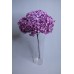 不凋花-帶桿繡球 葡萄紫