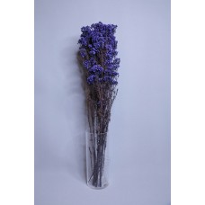 乾燥花-不凋花 漂色米香花 紫羅蘭