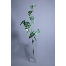 人造葉 帶根3叉觀音竹芋葉 白綠色