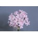 出清品人造花-MAGIQ FM002160-002 Pseuderanthemum Variabile 變異鉤粉草 Light Pink
