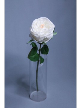 人造花 奧斯汀保濕玫瑰 白色
