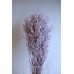 乾燥花-卡士比亞  粉紫